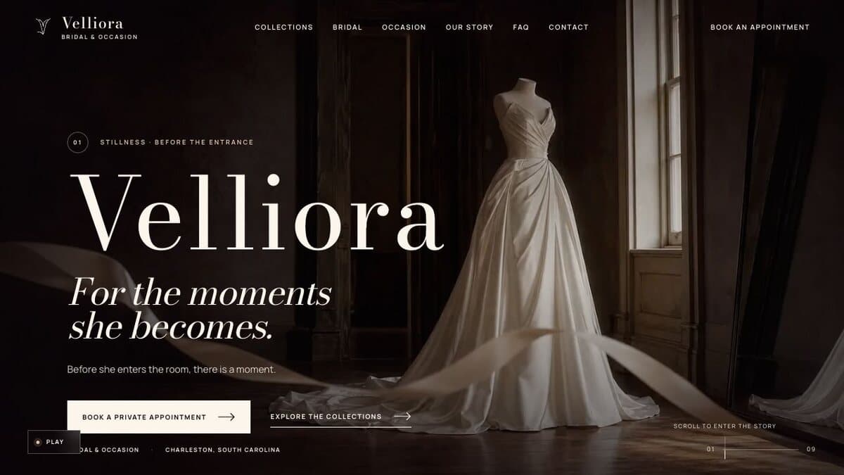 Velliora website concept
